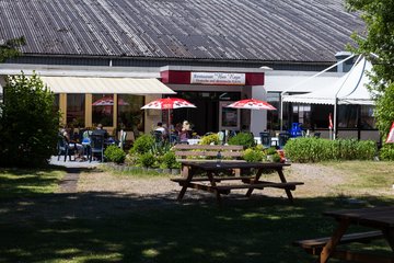 Bild 142 - Cup Pinneberg Tag 3